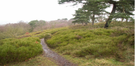 Lickey Hills Country Park2